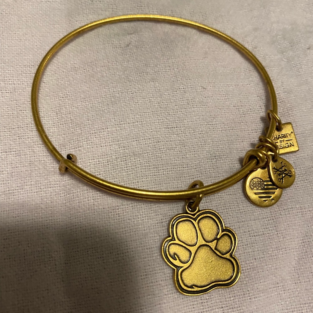 Alex and Ani bangle bracelet